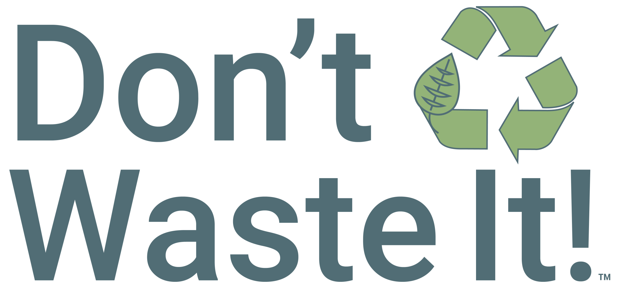 Don't Waste It Logo