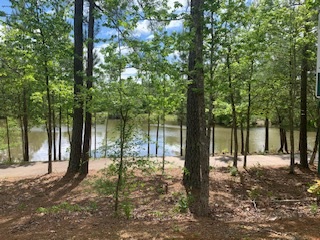 NE Pond-Trail 5-2020