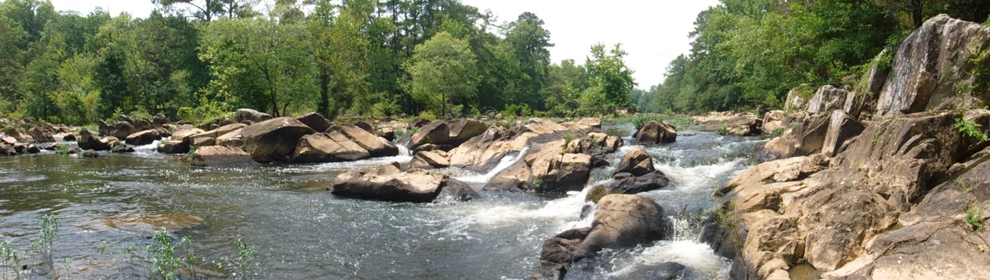 River with rocks and trees in background