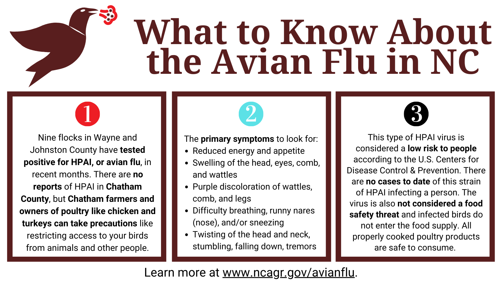 What to Know About the Avian Flu in North Carolina.