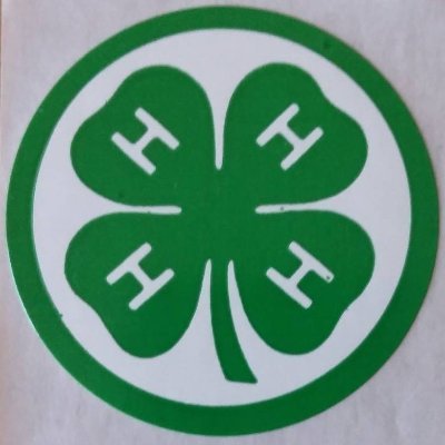 4H Logo