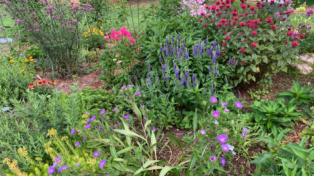 Various Flowers