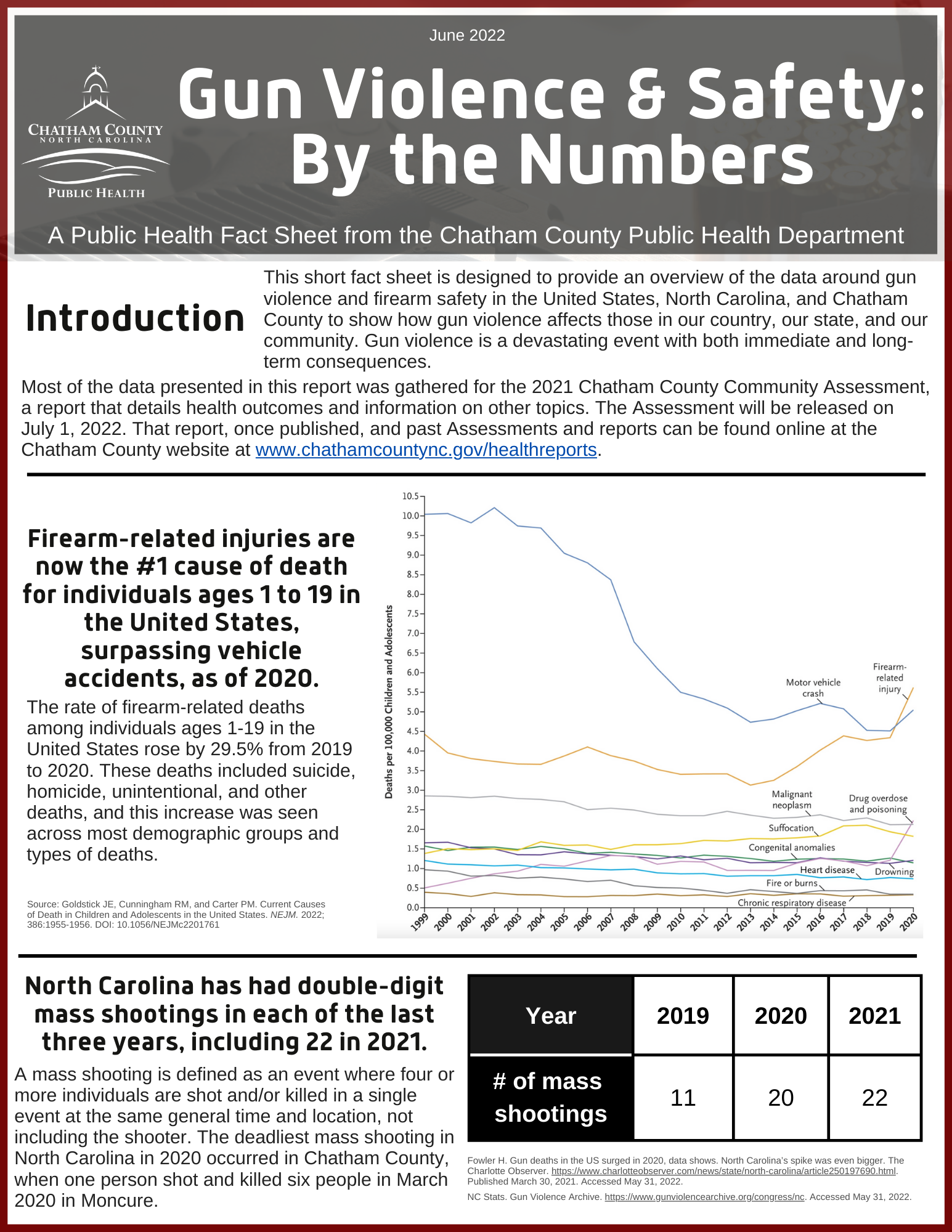 The first page of the Gun Violence and Safety topical data report in English.