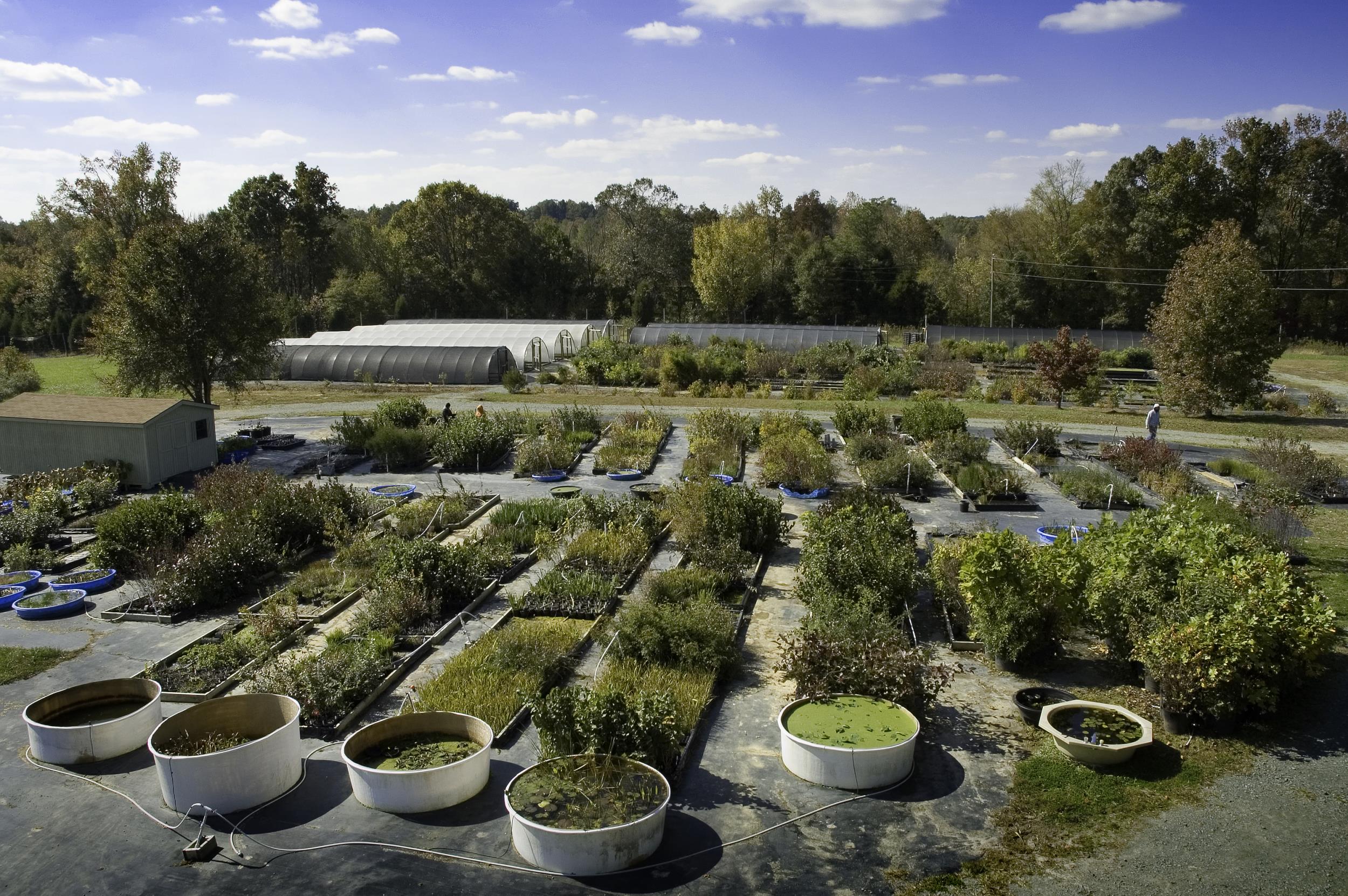 Mellow Marsh Farm