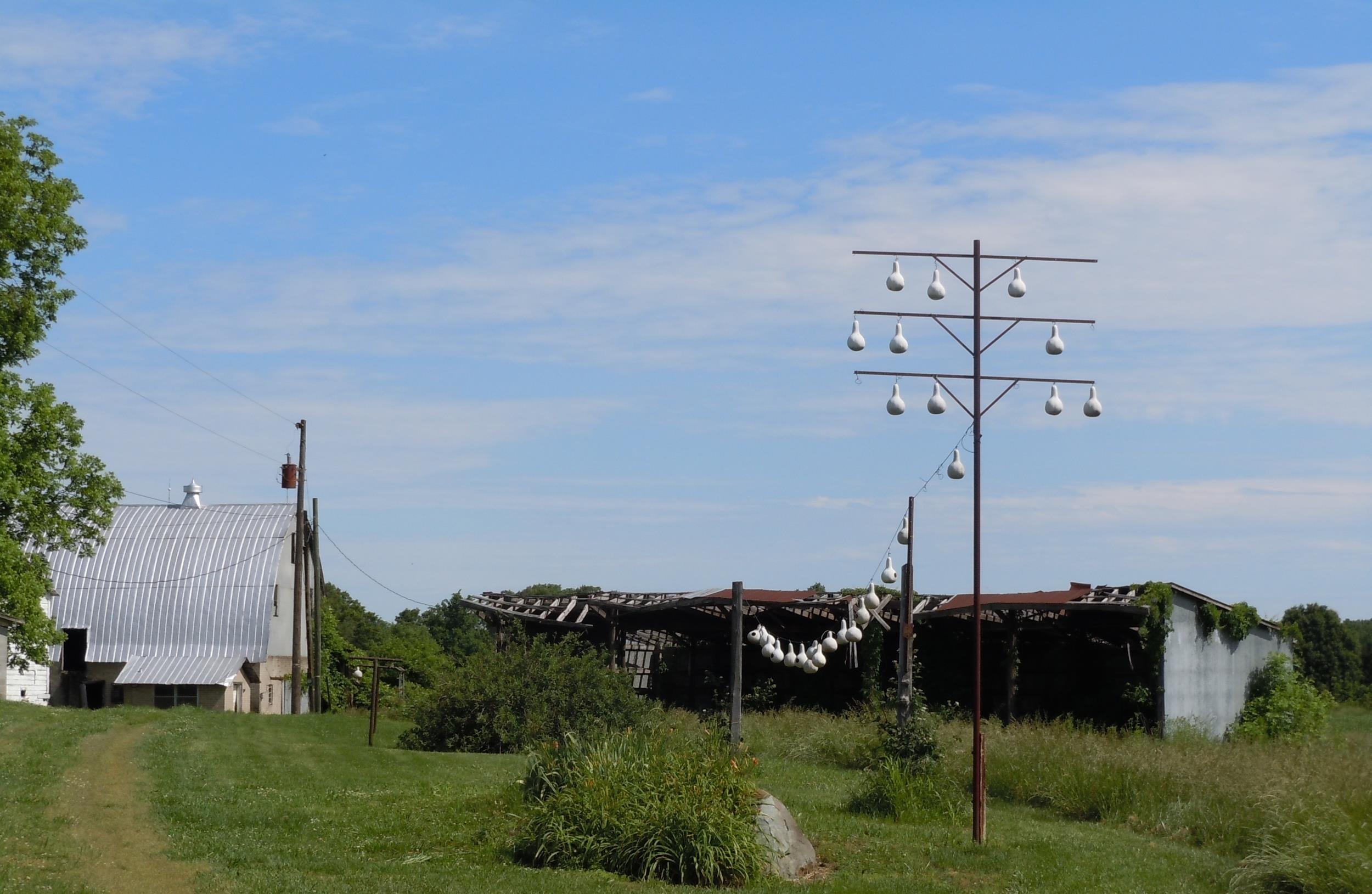 1 Gourds on a line