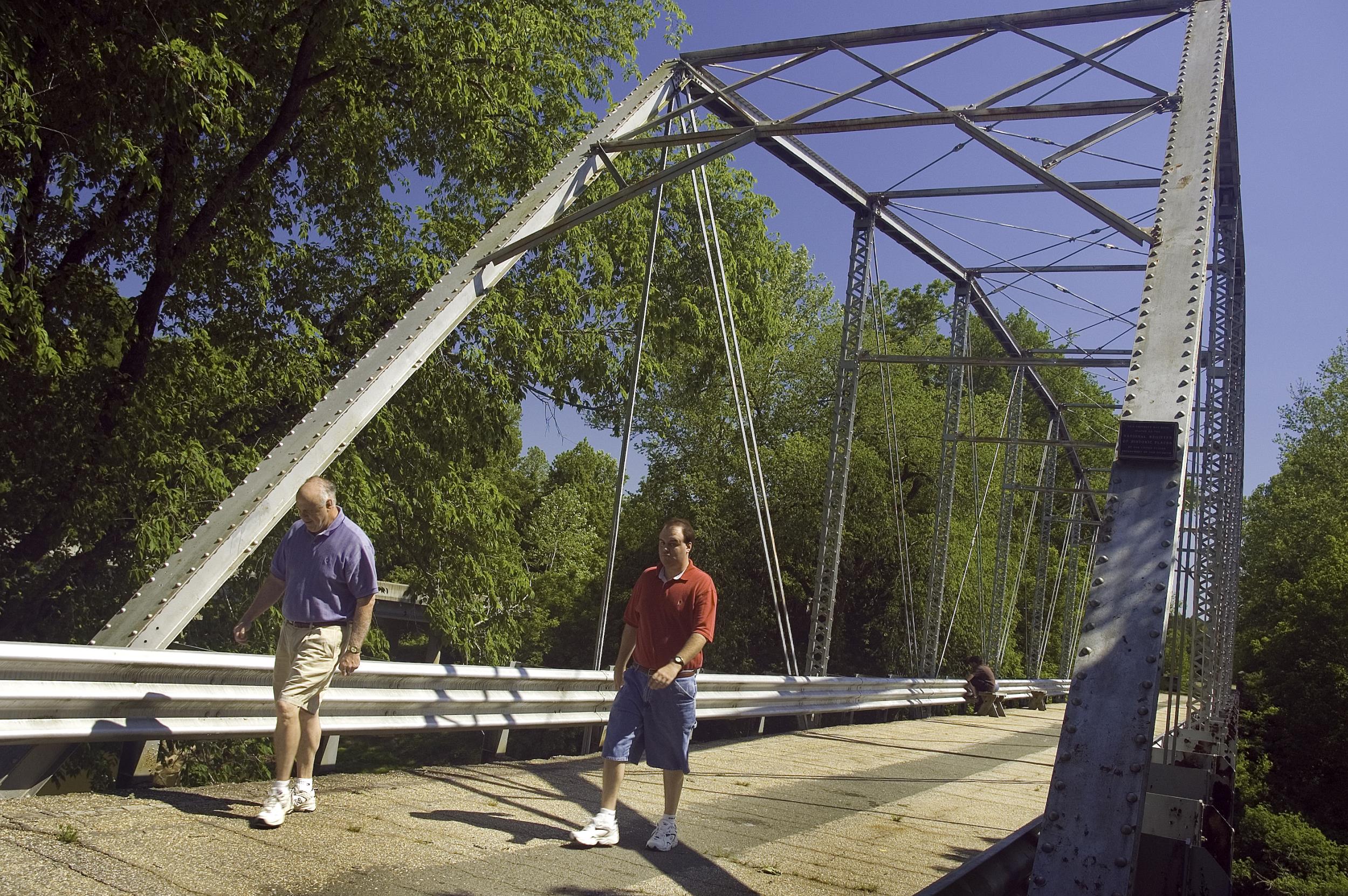 Camel Back Bridge - Cumnock