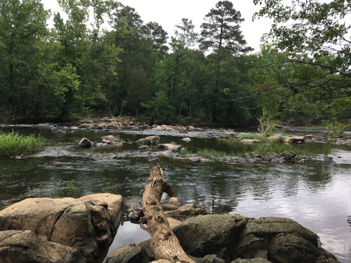 White Pines Nature Preserve