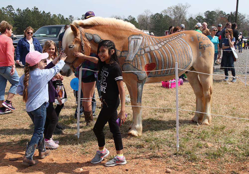 Girls posing with horse