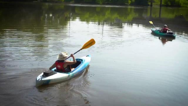 Kayakers on the river