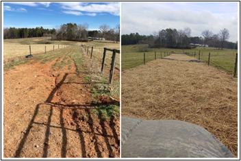 Cost Share - Best Management Practice - Livestock Trail Stabilization Before and After