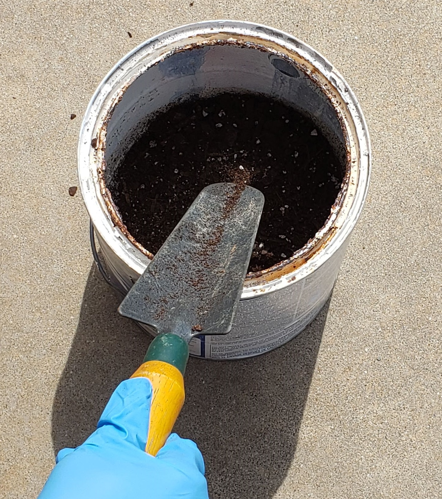 Hand using a hand garden shovel to add dirt into the 1 gallon paint can