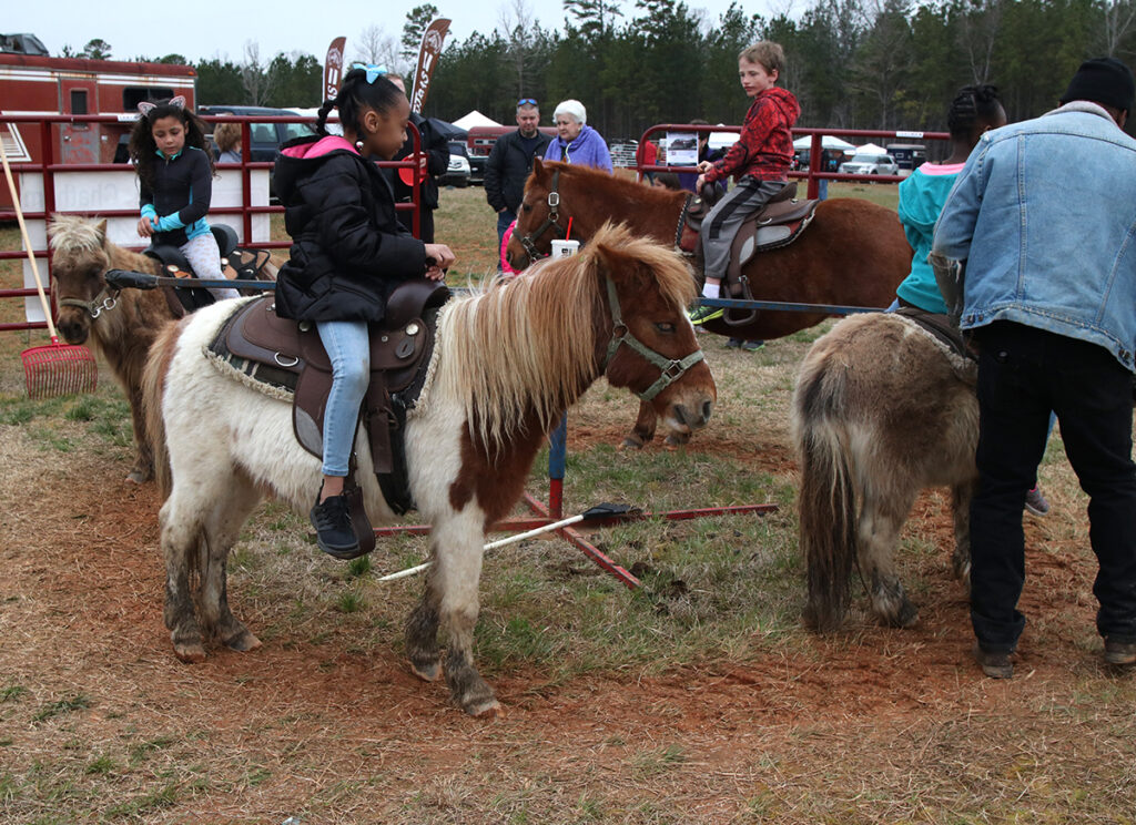 Kids on Ponies at 2023 Chatham County Spring Ag Fest