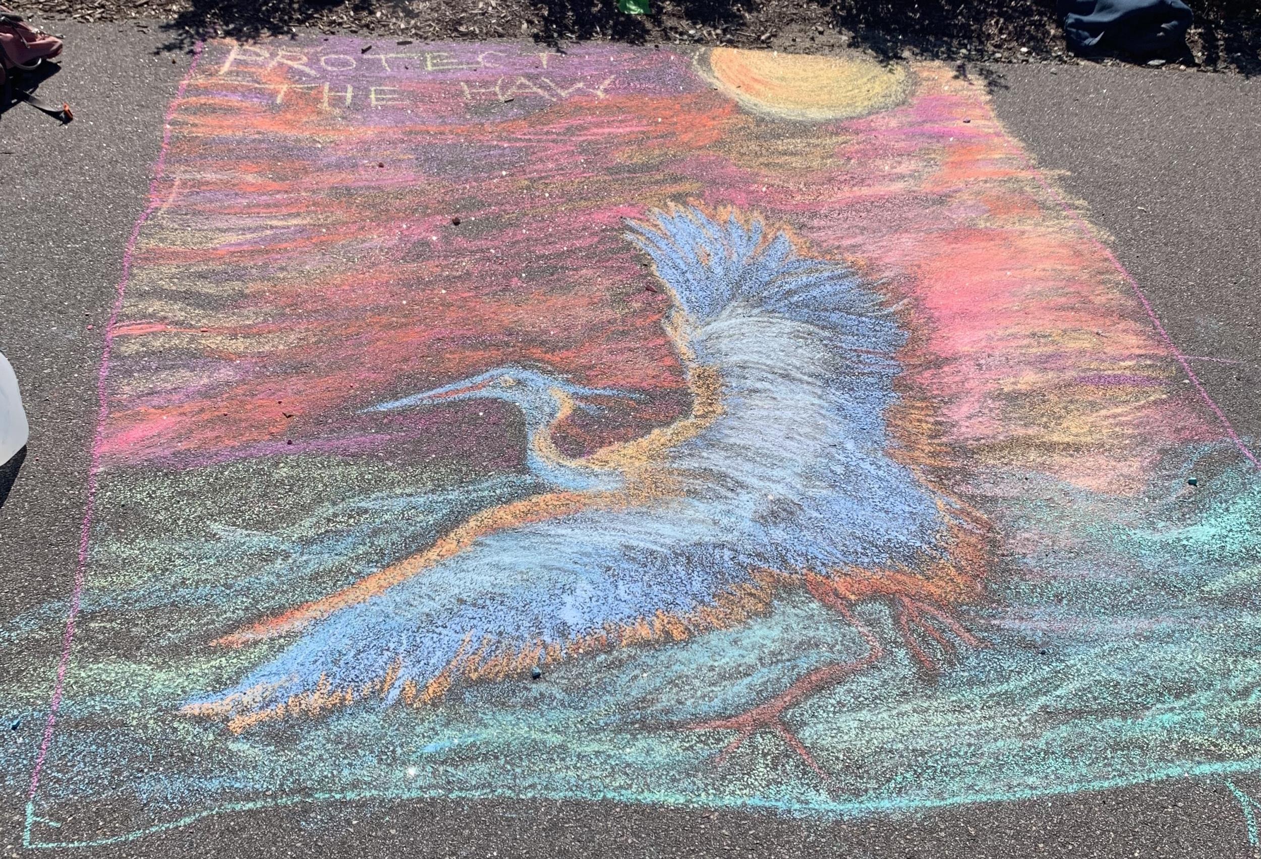 Sidewalk Chalk Festival - Chalk drawing of a hawk and the caption 