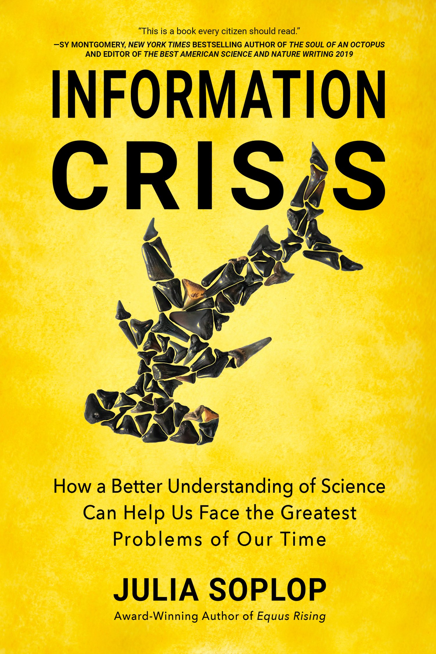 InformationCrisis