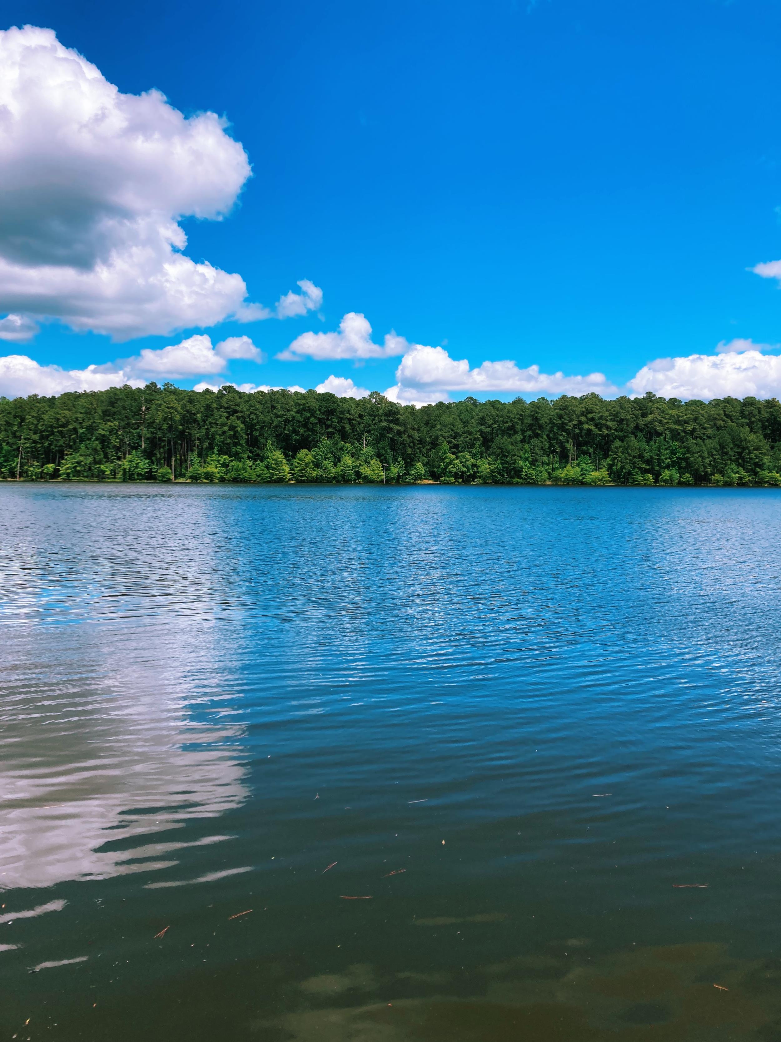 Jordan Lake State Recreation Area - Apex, New Hill, Pittsboro, and Chapel Hill