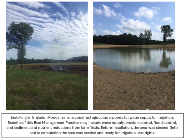 Irrigation Pond - Before & After