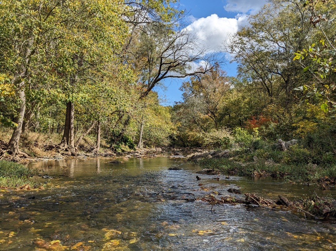 Riparian Buffer