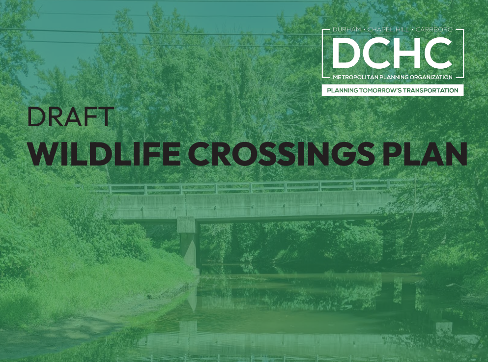 Wildlife Crossing