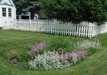 Backyard Rain Garden