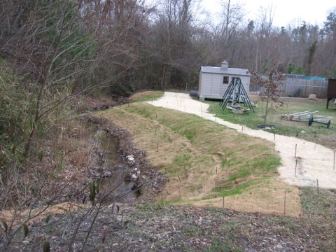 Streambank Restore After