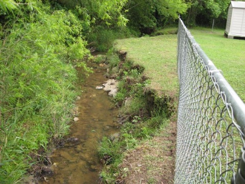 Streambank Restore Before