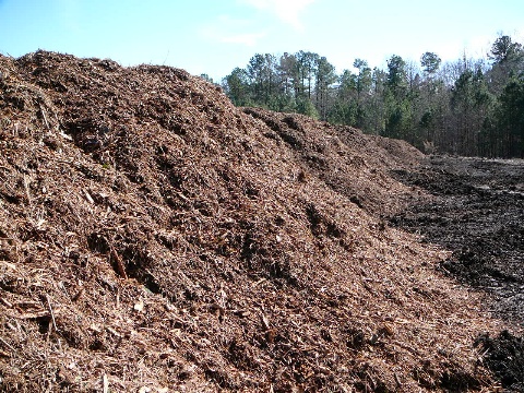 Mulch Pile