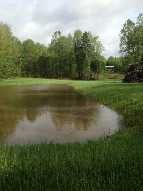 A pond used for irrigation of crops.