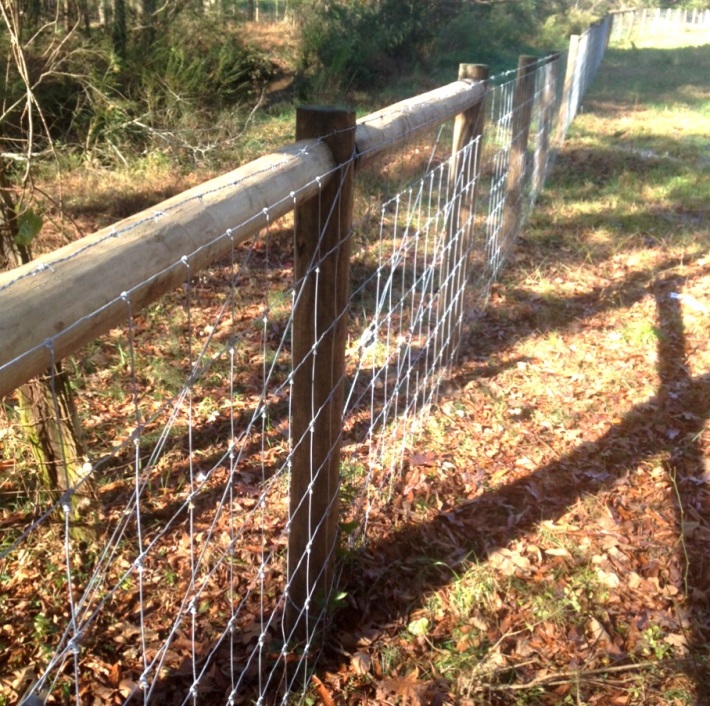 Livestock exclusion system fencing.